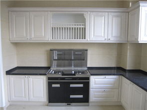 年度集成灶排行榜Top 綠色環(huán)保廚具品牌推薦