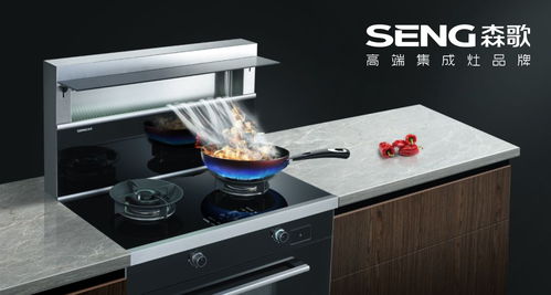 開放式廚房用什么油煙機(jī)效果好 名列前茅的森歌集成灶助力呼吸健康