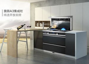 奧田集成灶 打造高端產品