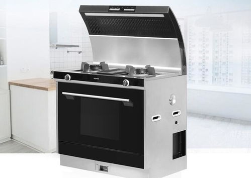 集成灶十大品牌排行榜 哪十款集成灶成這周網紅