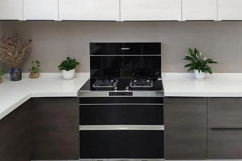 集成灶 重新定義廚房烹飪體驗.