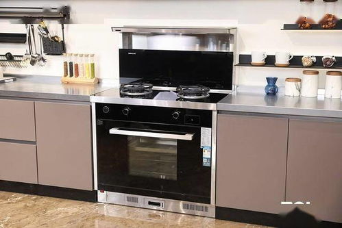 廚電智能新形態 森歌d3zk天貓精靈款集成灶評測